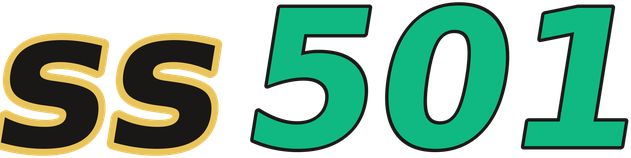 ss501 logo
